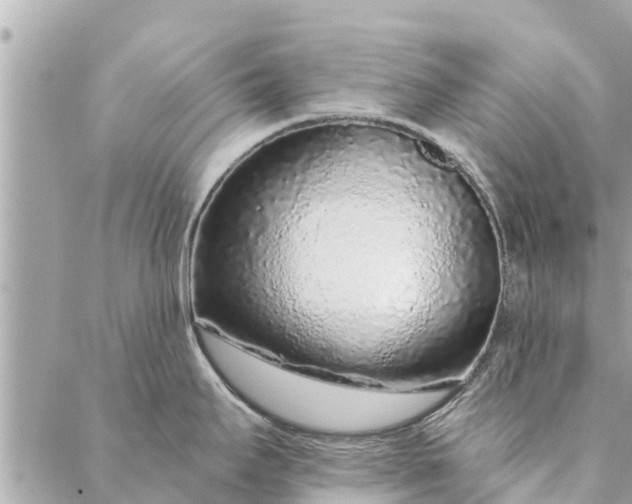 X0000087381295200705041936