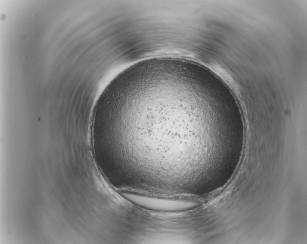 X0000087381296200705041936