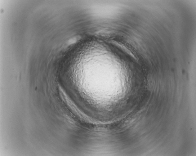 X0000087381297200705041935