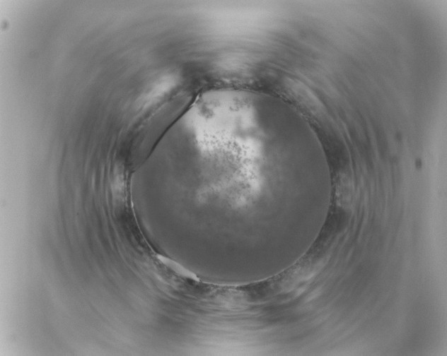 X0000087381298200705041935