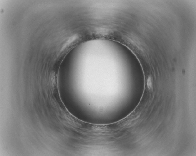 X0000087381299200705041935