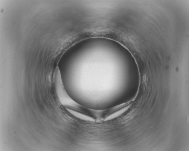 X0000087381300200705041935