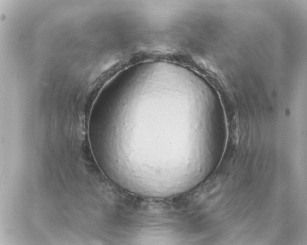 X0000087381301200705041935