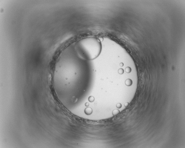 X0000087381302200705041935