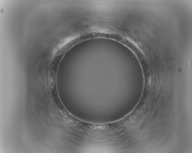 X0000087381303200705041935