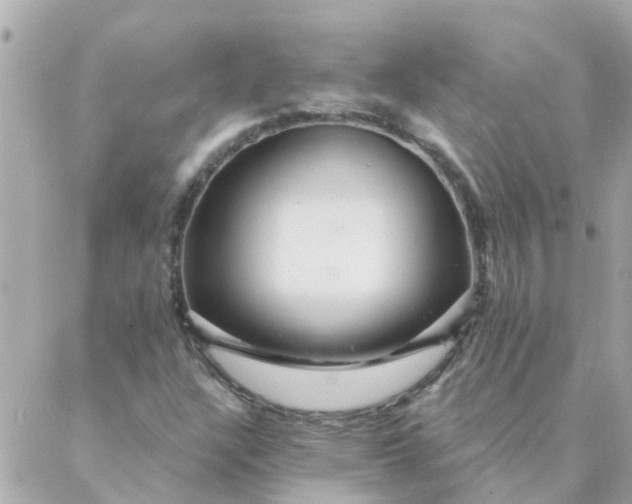 X0000087381304200705041935