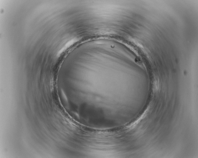 X0000087381306200705041935