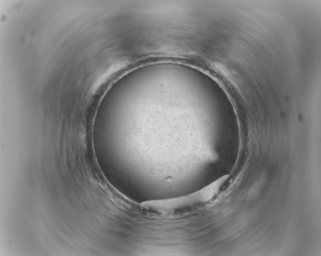 X0000087381307200705041935