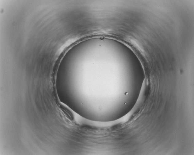 X0000087381308200705041935