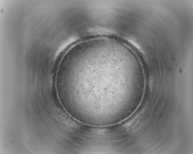 X0000087381309200705041935