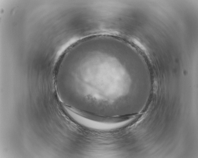 X0000087381310200705041935