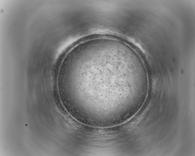 X0000087381311200705041935