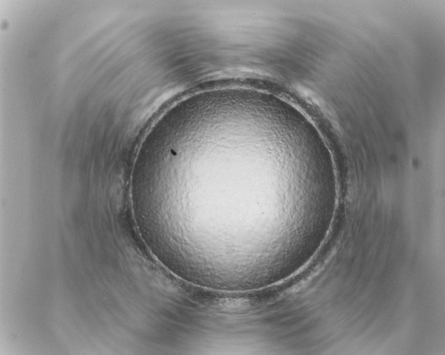 X0000087381313200705041935