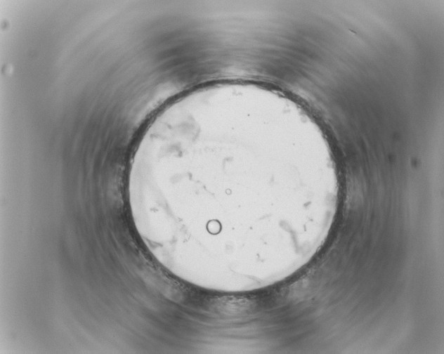 X0000087381314200705041935