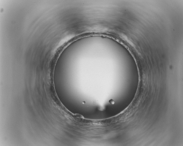 X0000087381315200705041935