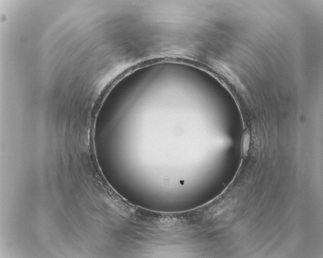 X0000087381316200705041935