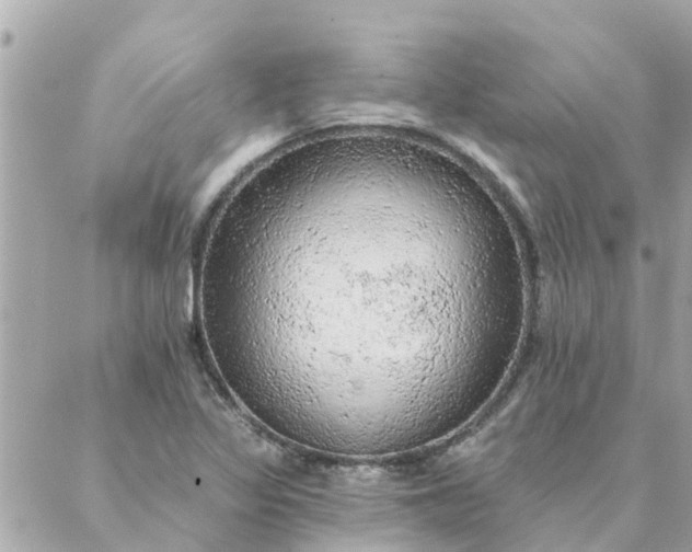 X0000087381317200705041935