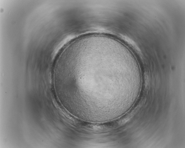 X0000087381318200705041935