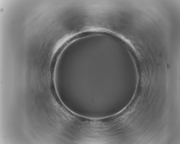 X0000087381319200705041935