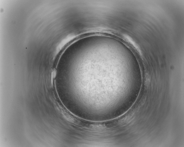 X0000087381320200705041935