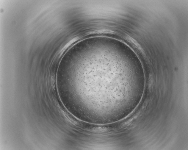 X0000087381321200705041935