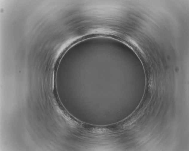 X0000087381323200705041935