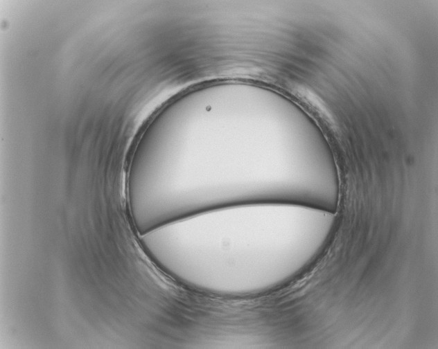 X0000087381324200705041935