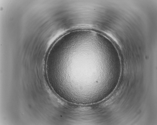 X0000087381325200705041935