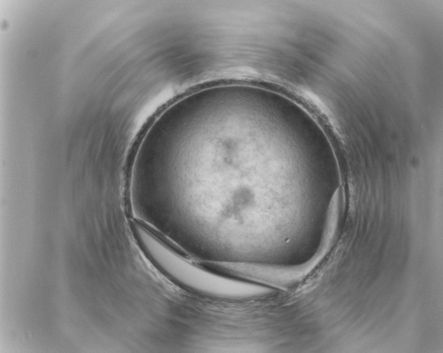 X0000087381326200705041935