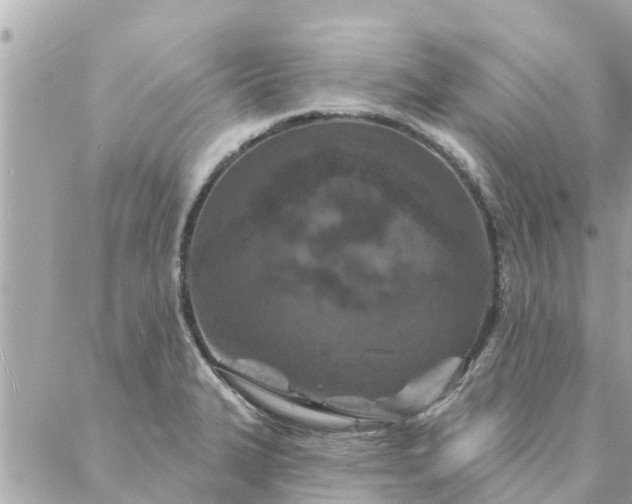 X0000087381327200705041935