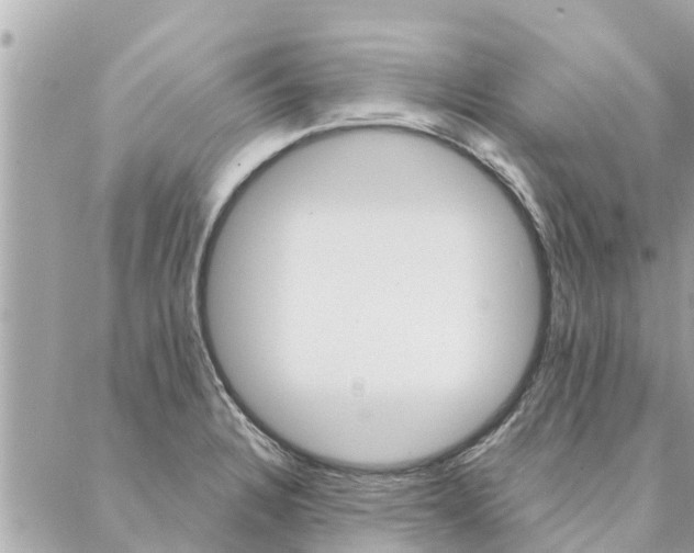 X0000087381328200705041935