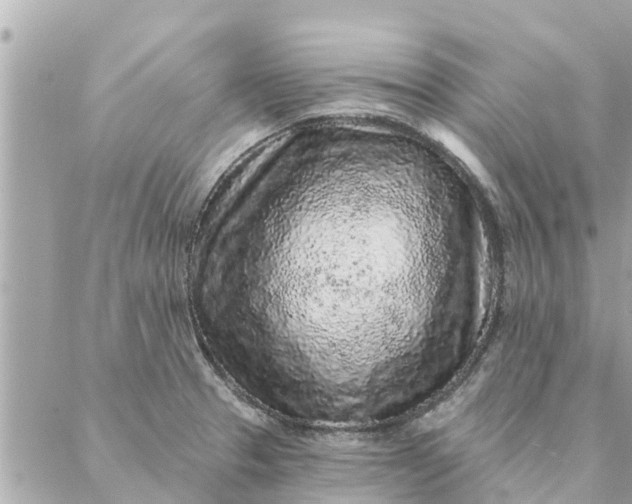 X0000087381329200705041935