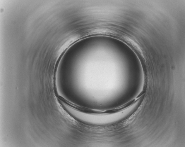 X0000087381330200705041935