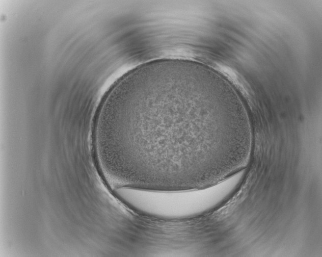 X0000087381331200705041935