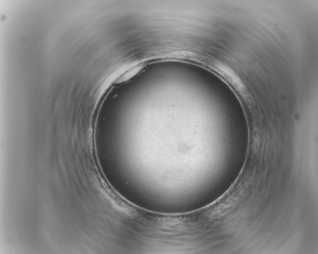 X0000087381332200705041935