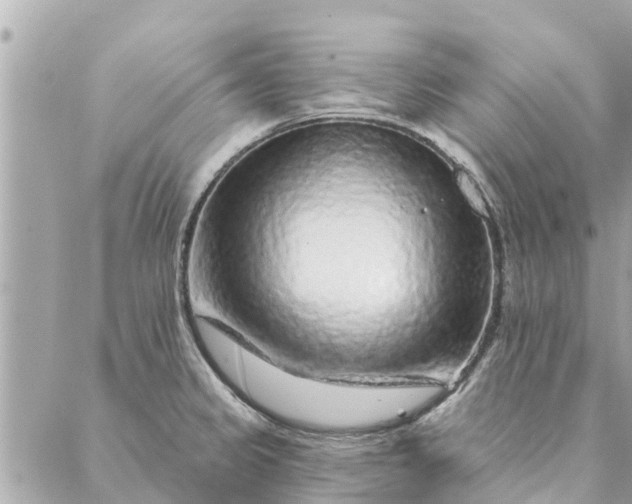 X0000087381333200705041935