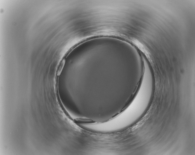 X0000087381334200705041935