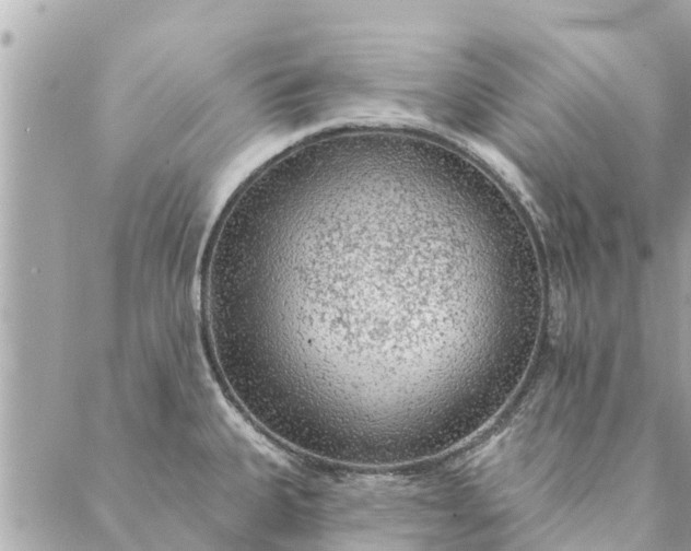 X0000087381335200705041936