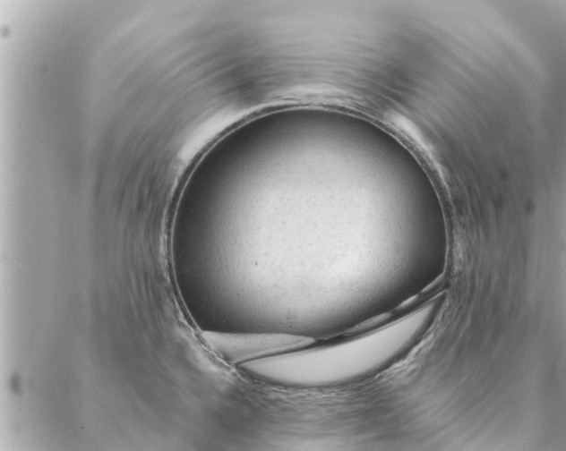 X0000087381336200705041936