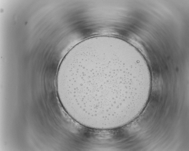 X0000087381338200705041936