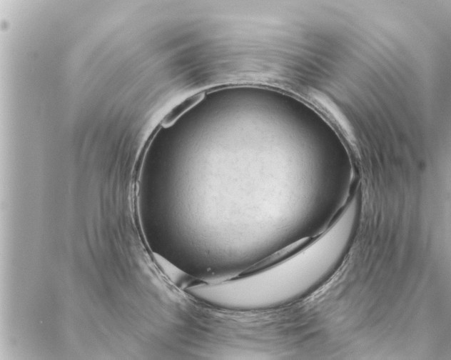 X0000087381340200705041936