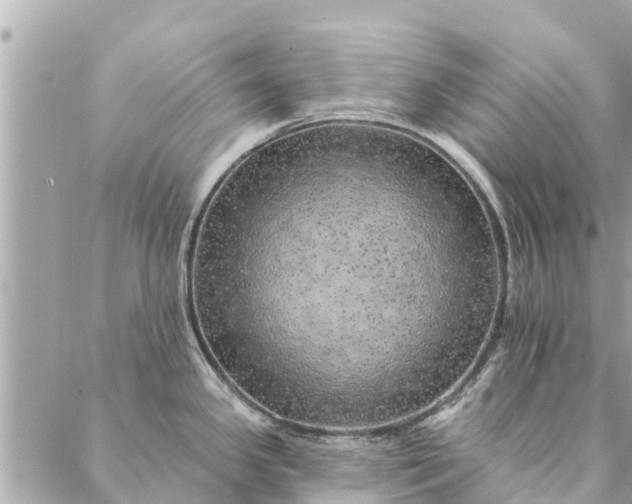 X0000087381341200705041936