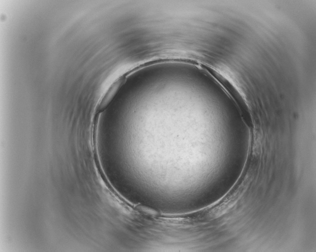 X0000087381342200705041936