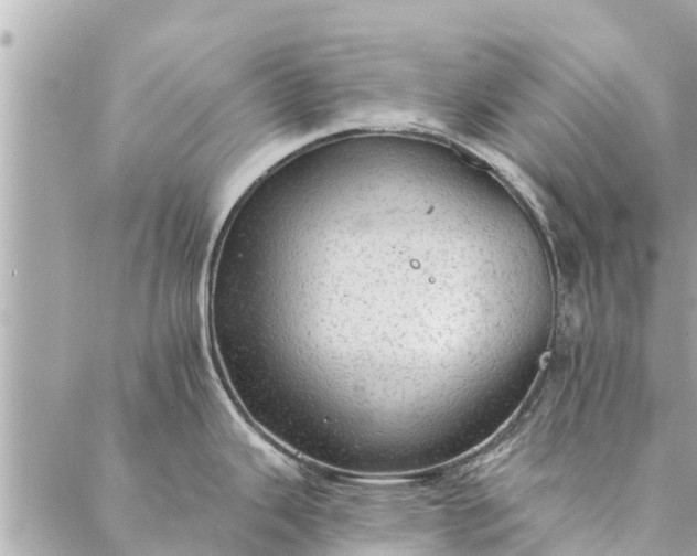 X0000087381343200705041936