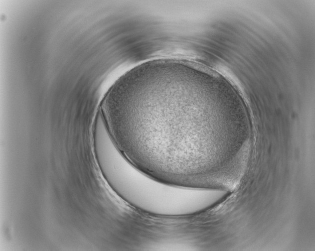 X0000087381344200705041936