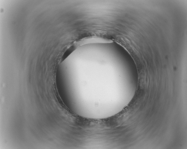 X0000087381345200705041935