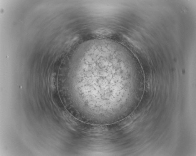 X0000087381346200705041935