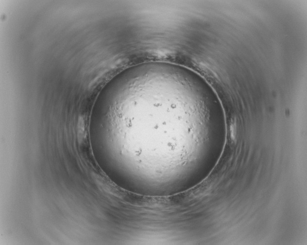 X0000087381347200705041935