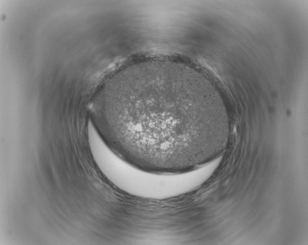 X0000087381348200705041935