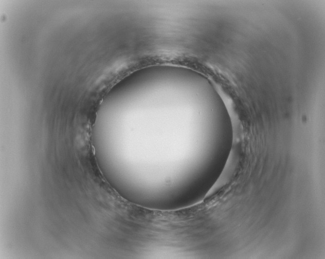 X0000087381349200705041935